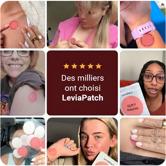 [Image de la bannière LeviaPatch]
